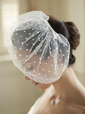 Vintage Polka Dot Face Veil